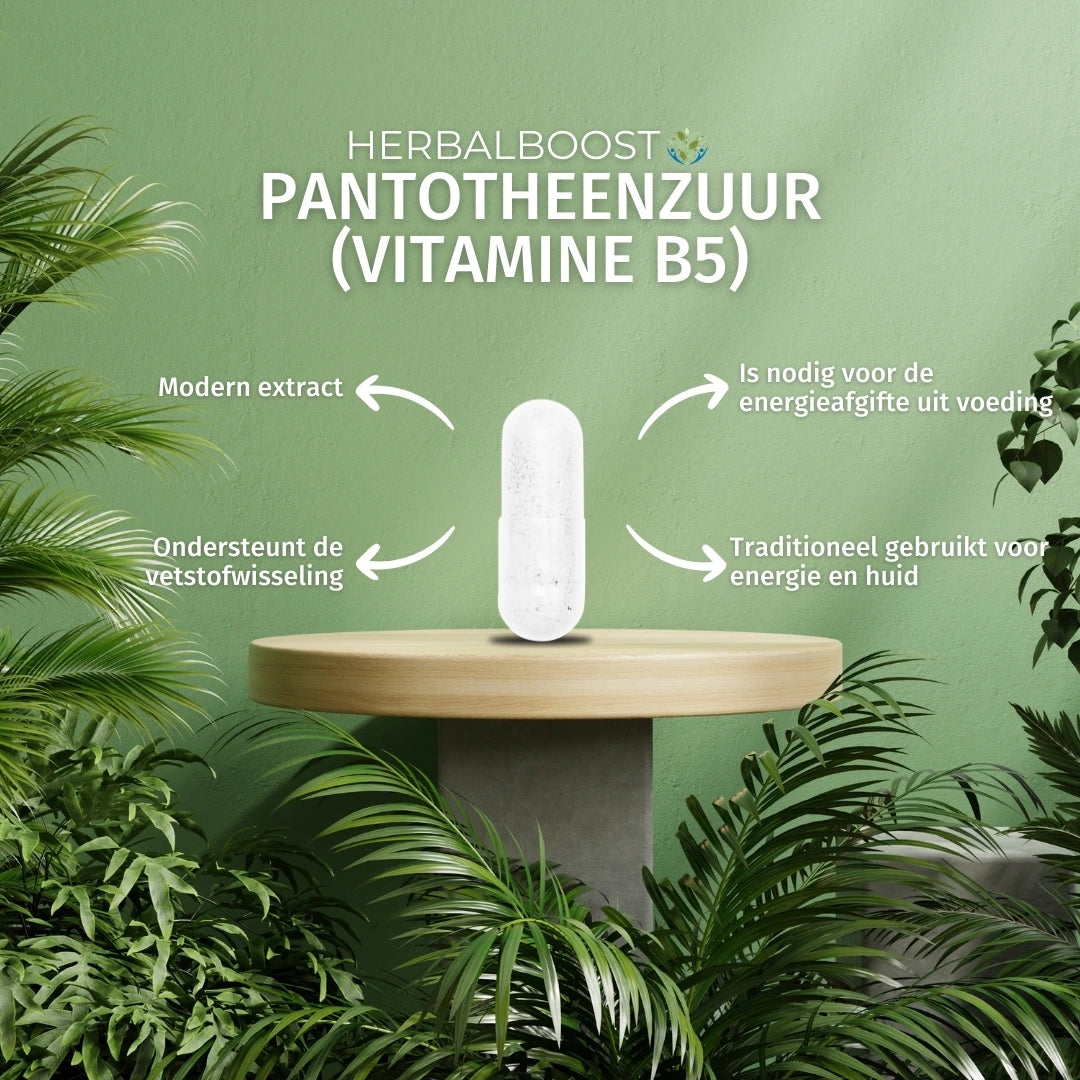Pantotheenzuur (Vitamine B5)