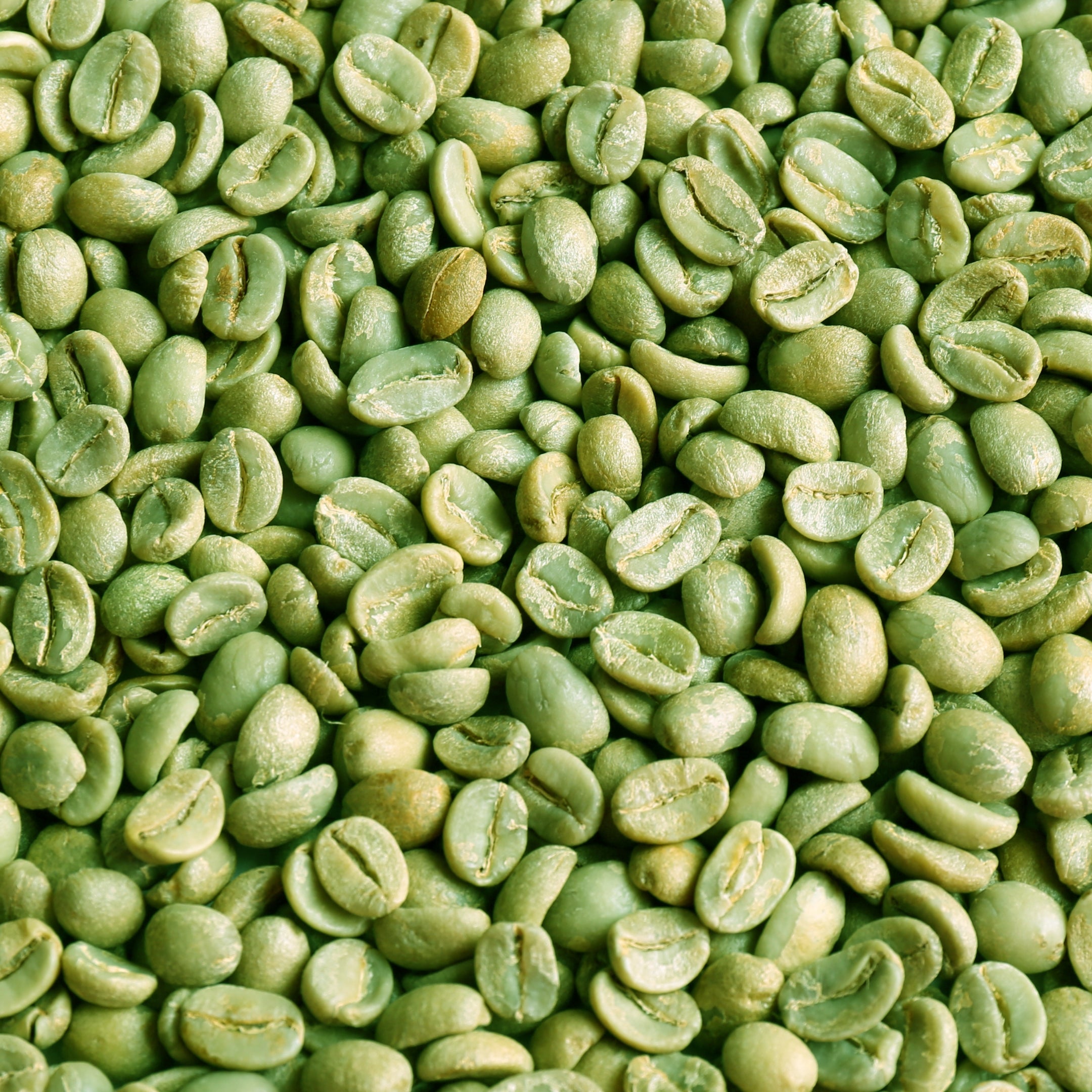 Groene koffiebonen