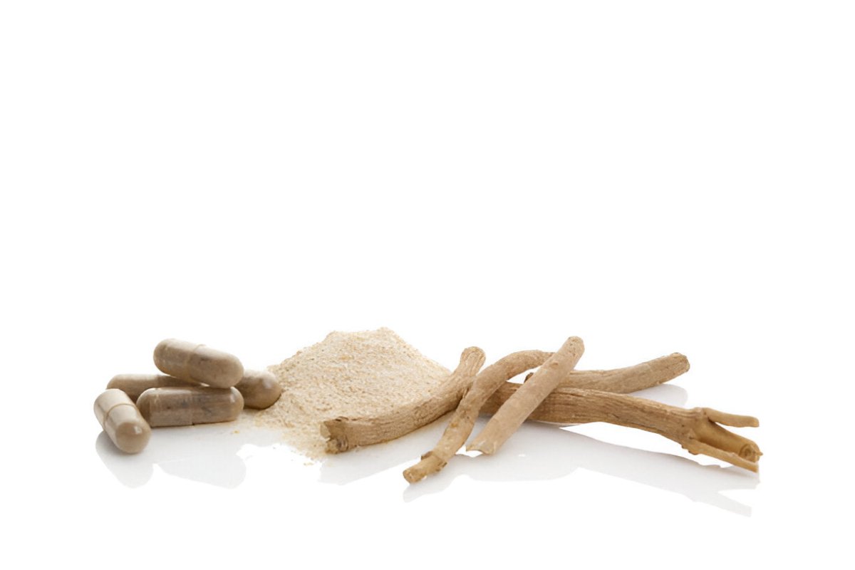 Astragalus - HerbalBoost