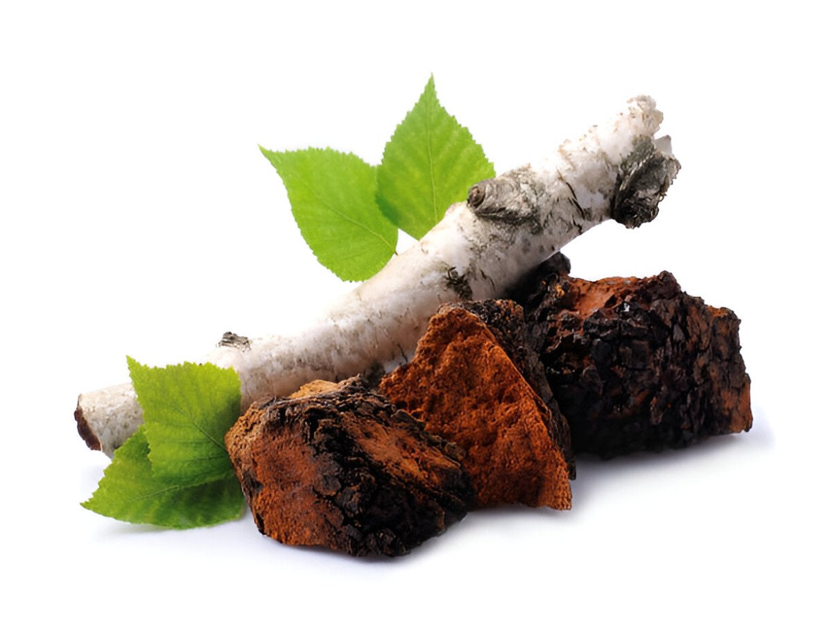 Chaga - HerbalBoost