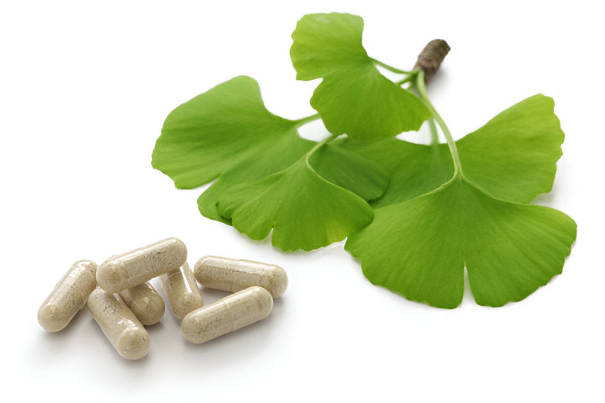 Ginkgo Biloba - HerbalBoost