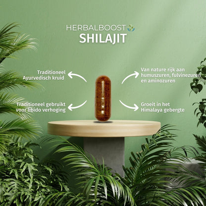 Shilajit
